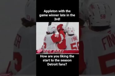 Mason Appleton scores game winning goal late in the third! #redwings #leafs