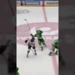 Robin Hanzl tacklar Anton Bengtsson (Malmö Redhawks mot Rögle BK i SHL i Sverige) (#Shorts)