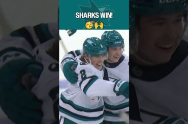 The WAIT is OVER! 🙌🦈