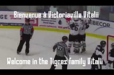 Vitalii Abramov chez les Tigres