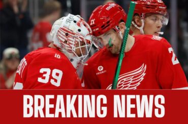 Red Wings Win Fifth Straight Game  Emmitt Finnie & Dylan Larkin Shine। USA NEWS TODAY