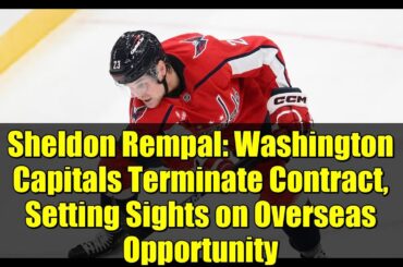 Sheldon Rempal: Washington Capitals Terminate Contract, Setting Sights on Overseas Opportunity