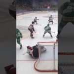 Dennis Everberg slår ner Marek Langhamer (Rögle BK mot Malmö Redhawks i SHL i Sverige) (#Shorts)