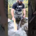 How to Bonk and Bleed a Salmon