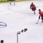 Perry knocks Nosek’s stick away - Tough Call Review