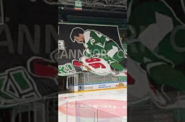 Rögle BK stoppar sina egna fans mot Malmö Redhawks (Rögle BK mot Malmö Redhawks i SHL) (#Shorts)