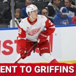 Michael Brandsegg-Nygard assigned to Grand Rapids | Early important road trip coming up
