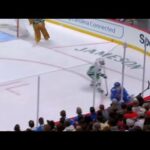 FOLLOW UP: Hurricanes coach’s challenge Kelly hand goal for a high stick - Tough Call Review