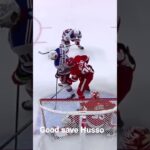 Villa Husso at the height