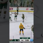 DEFENSEMAN CHEMISTRY 🧪 #zeevbuium #mnwild #nhl