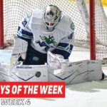 AHL Top 5 Highlights Of The Week: Unreal Saves, Unbelievable Assists And More!