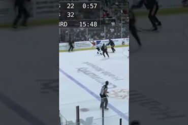 ECHL player gets dumped into the bench