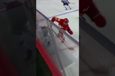 Наместников не ожидал силового от Задорова🚨 #хоккей #hockey #nhl #нхл #calgaryflames #hits #hit
