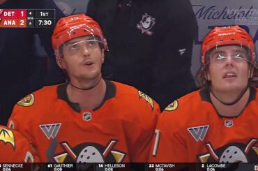 This might work after all…