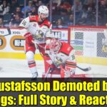 Erik Gustafsson Demoted by Red Wings: Full Story & Reaction
