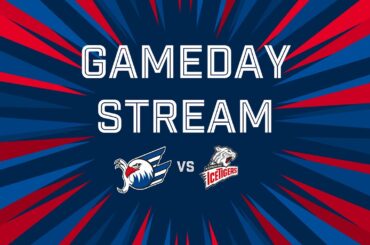 Gameday-Stream: Adler Mannheim VS. Nürnberg Ice Tigers