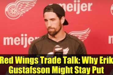 Red Wings Trade Talk: Why Erik Gustafsson Might Stay Put