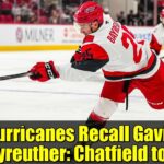 Hurricanes Recall Gavin Bayreuther: Chatfield to IR | NHL News & Analysis