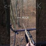 BIG BUCK AT 5 YARDS! #deer #deerhunt