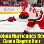 Carolina Hurricanes Recall Gavin Bayreuther | NHL News