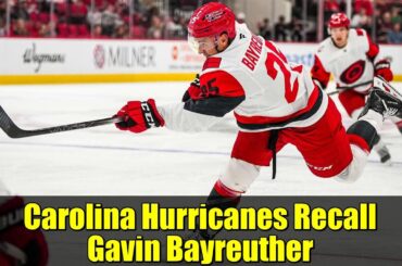 Carolina Hurricanes Recall Gavin Bayreuther | NHL News
