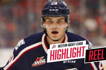 2018-19 HIGHLIGHT REEL | Krystof Hrabik