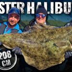 Döme Gábor - Az Északi-tenger szörnye, az óriás halibut