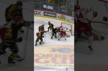 Strauss Mann håller nollan igen (Skellefteå AIK mot Timrå IK Skellefteå Kraft Arena i SHL) (#Shorts)