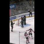 Brian Halonen's first career NHL goal