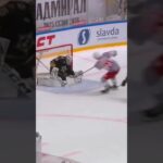 🇸🇰Adam Ružička vs Adam Huska🇸🇰🏒🥅 #hokej #khl #icehockey #hokej #slovensko @MRHOKEJ