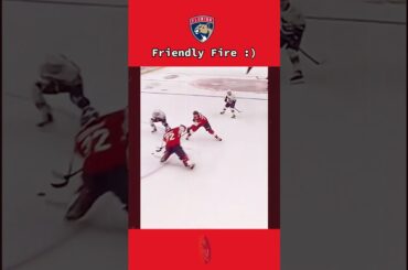 A FLORIDA PANTHERS Fail That Will Make You Cry Laughing 🤣