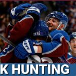 Avalanche End Anaheim Ducks Winning Streak. Landeskog Gets a Goal That Sticks!