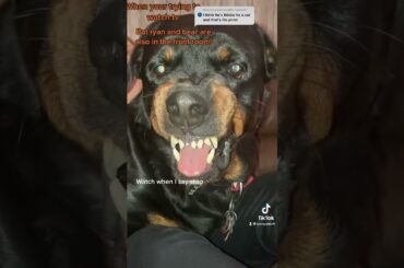 Asking my Rottweiler for his guard dog face. And to stop growling.