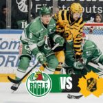 Rögle vs Skellefteå | 20 nov 2025 | Highlights