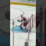 Brandon Bussi warming up the hands. #GoalieGearSnob #CarolinaHurricanes #TrueGoalie #BrandonBussi