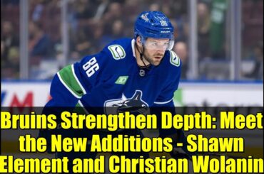 Bruins Strengthen Depth: Meet the New Additions - Shawn Element and Christian Wolanin