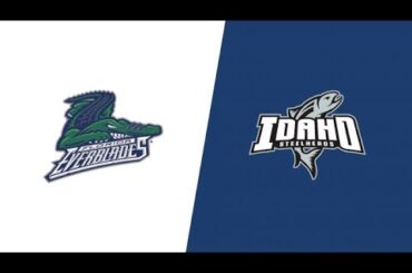 ECHL Free Live Stream - Florida Everblades Vs Idaho Steelheads | Watch Live On FloHockey