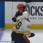 Jeffrey Viel vs Radko Gudas Nov 19, 2025