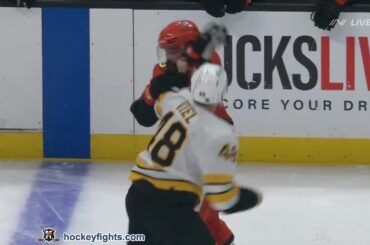 Jeffrey Viel vs Radko Gudas Nov 19, 2025