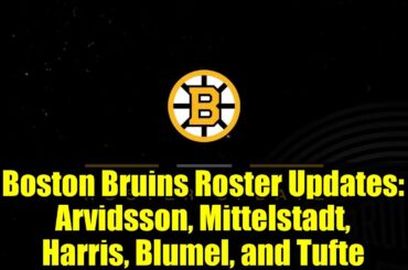 Boston Bruins Roster Updates: Arvidsson, Mittelstadt, Harris, Blumel, and Tufte