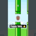 Flappy Sens 🐤 #tiktokgame #nhl #sens