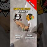 Cujo’s NHL Fetch | Anaheim Ducks vs Chicago Blackhawks 🐕 11-30-2025 NHL Hockey