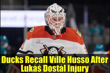 Ducks Recall Ville Husso After Lukáš Dostál Injury | Goalie Update & Roster Moves