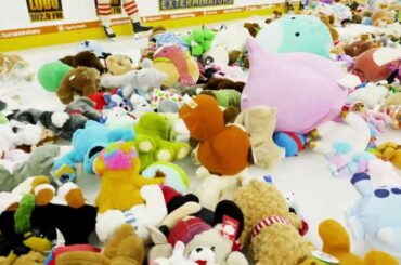 Condors Teddy Bear Toss Goal 2025: Seth Griffith