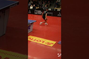 #shorts Zack Zauberhand ✨