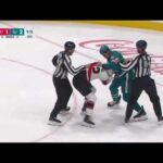 Ryan Reaves vs Hayden Hodgson