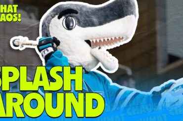The San Jose Sharks are so silly
