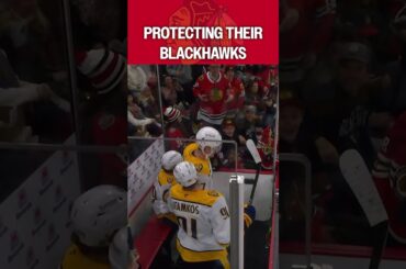 Protecting Their Blackhawks!