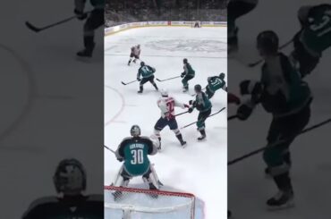 Goalie Interference?