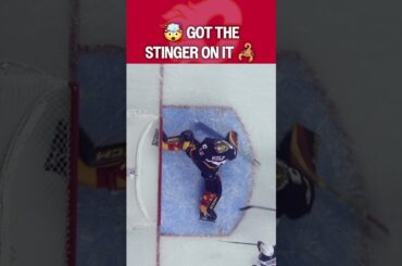 From Wolf to SCORPION 🦂😱